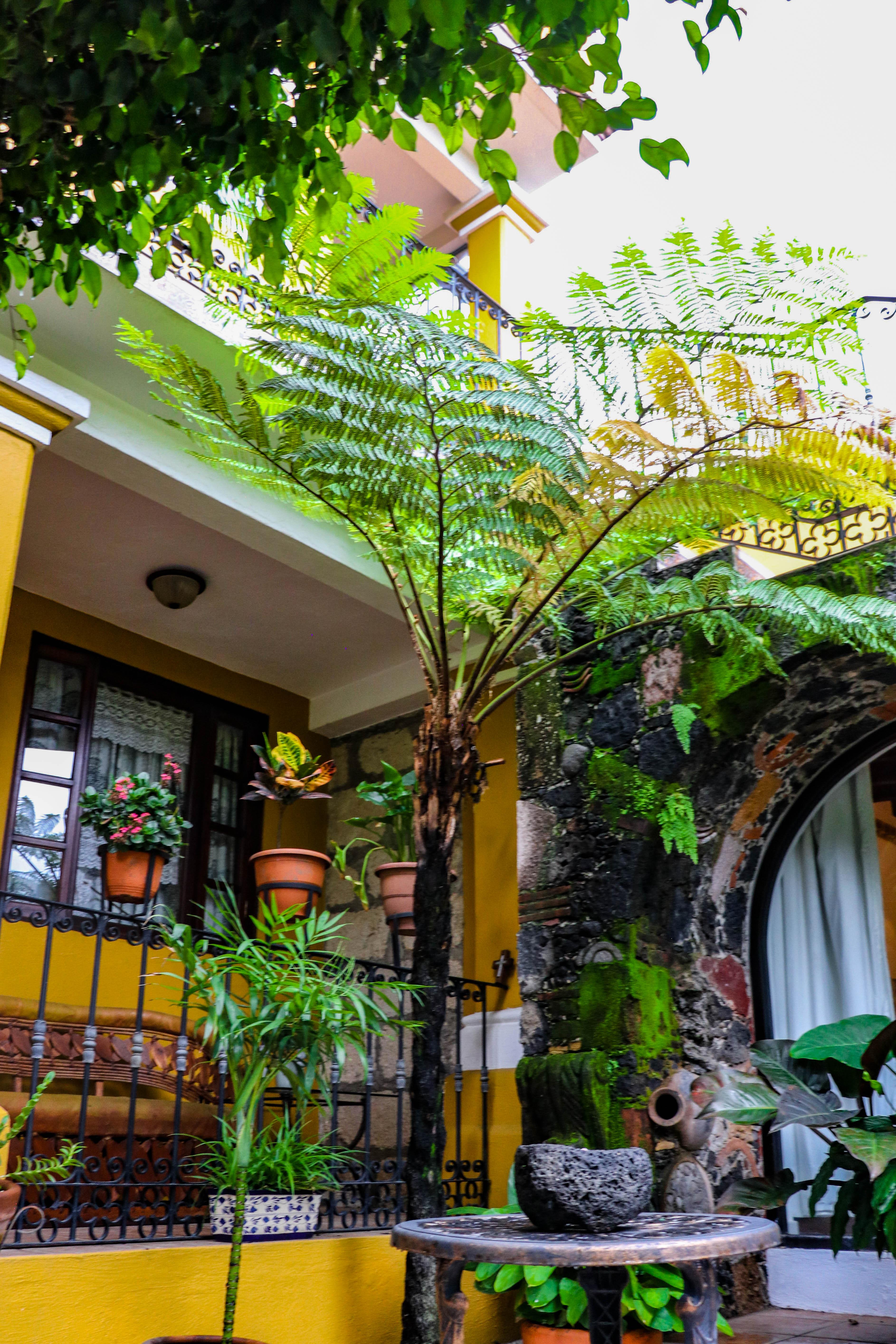 Quinta La Herradura