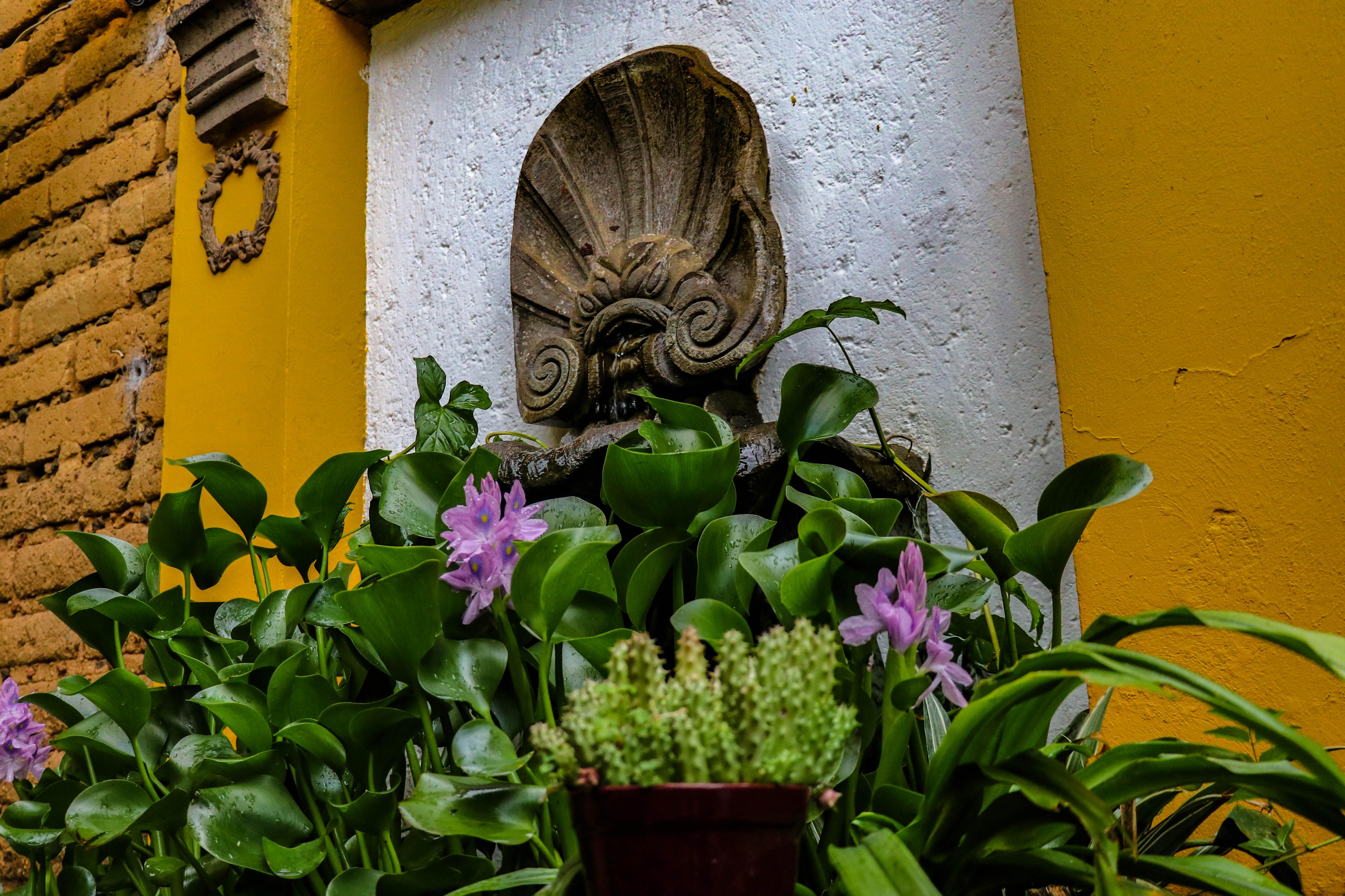 Hotel Quinta La Herradura Tepoztlán